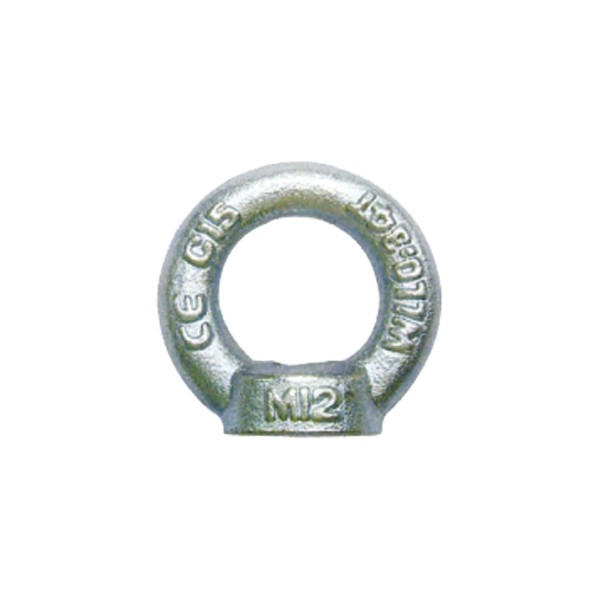 DIN582 Ring Nut