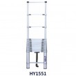 Telescopic Ladder