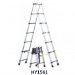 Telescopic Ladder