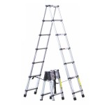 Telescopic Ladder