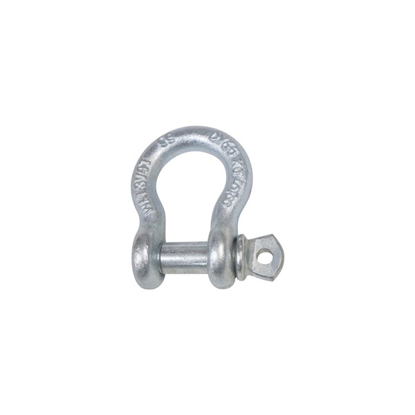 European Bow Shackle With Screw Pin