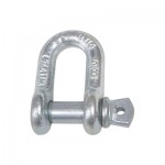 European D Shackle With Screw Pin