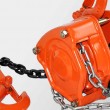 Chain Hoist HSZ-V