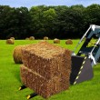 Fork Extensions FK